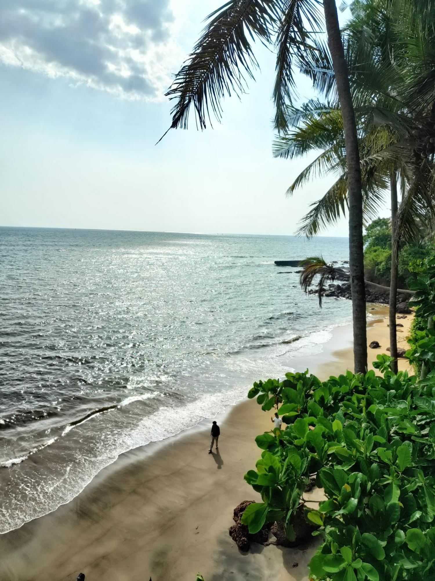Perch Next Door Bed & Breakfast Kannur ภายนอก รูปภาพ